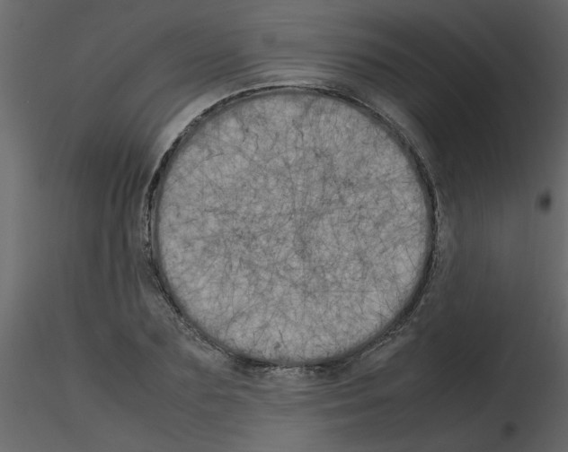 X0000115660883200912241356