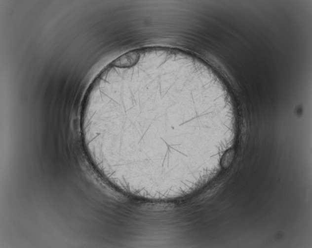 X0000115660884200912241356