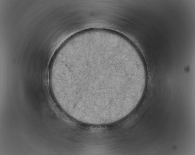 X0000115660887200912241356