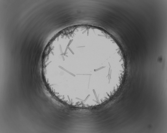 X0000115660888200912241356