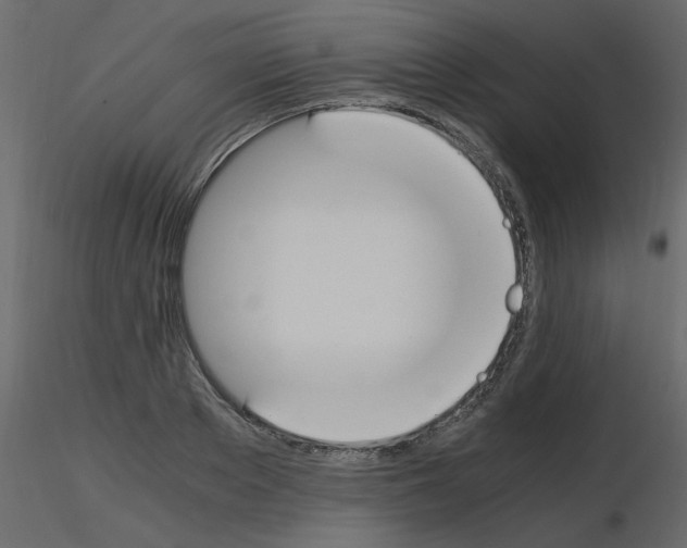 X0000115660889200912241356