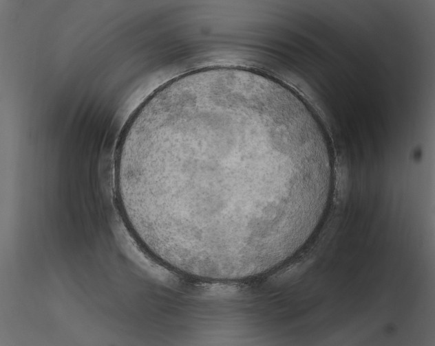 X0000115660890200912241356