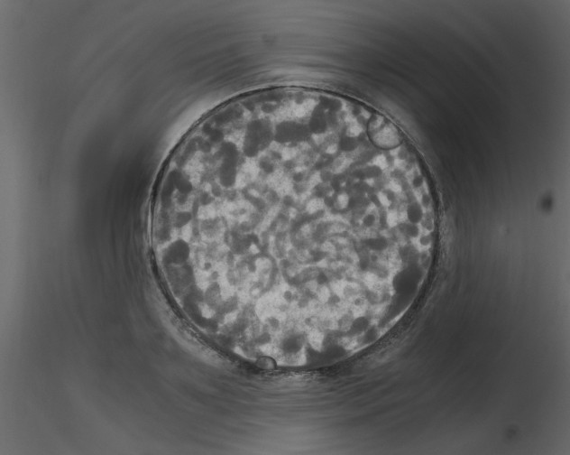 X0000115660891200912241356