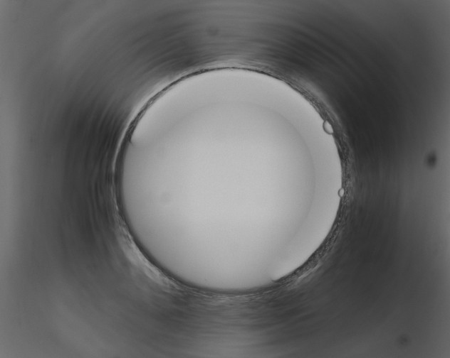 X0000115660892200912241356