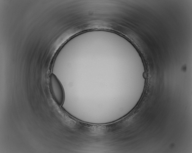 X0000115660893200912241356