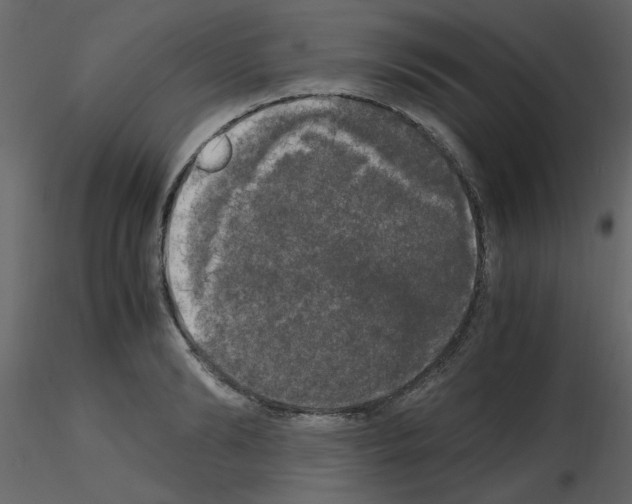 X0000115660894200912241356