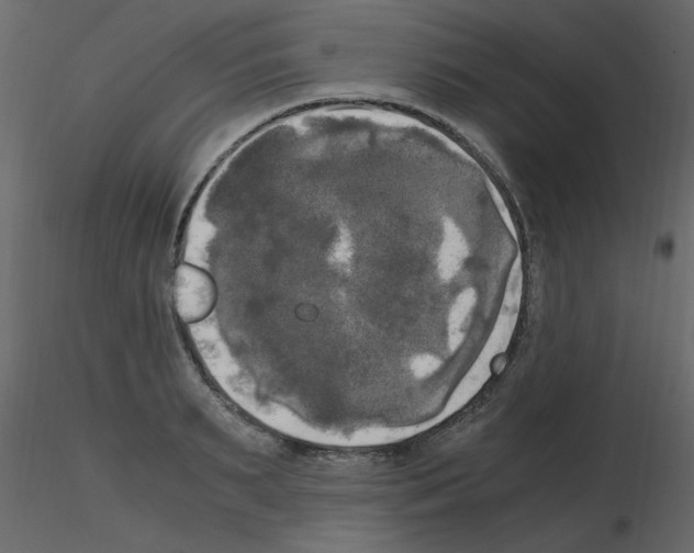 X0000115660895200912241356