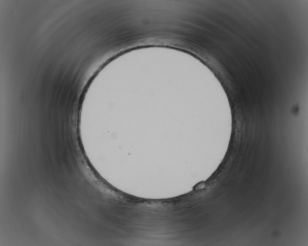 X0000115660896200912241356