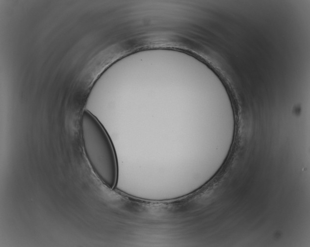 X0000115660897200912241356