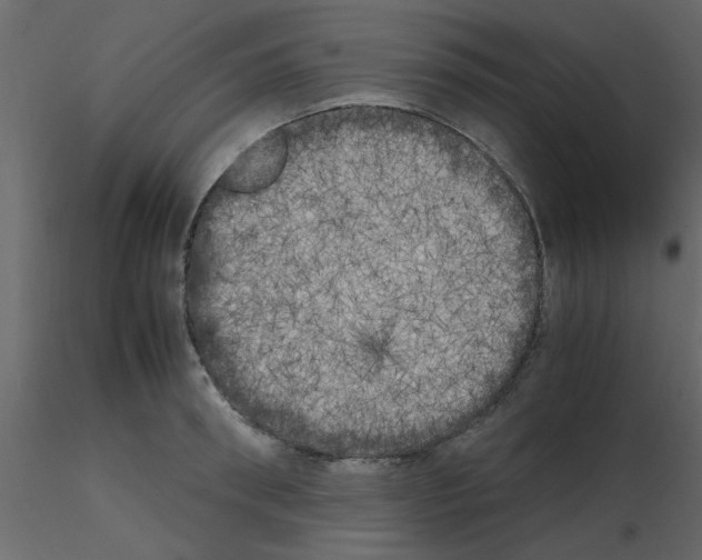 X0000115660898200912241356