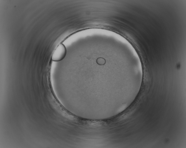 X0000115660899200912241356