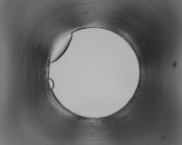 X0000115660900200912241356