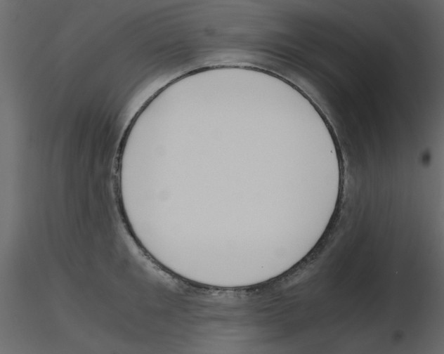 X0000115660901200912241356