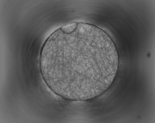 X0000115660902200912241356