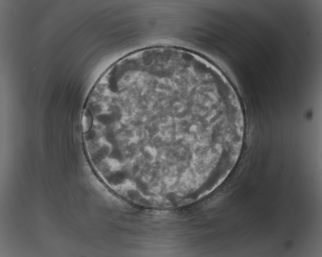 X0000115660903200912241356