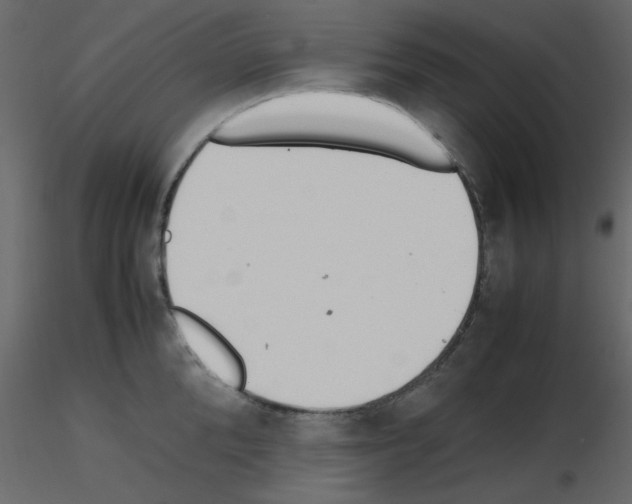 X0000115660904200912241356