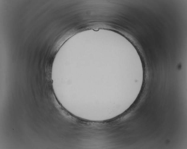 X0000115660905200912241356