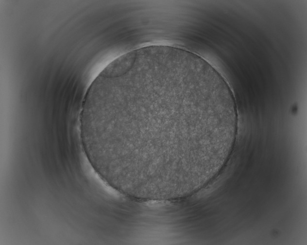 X0000115660906200912241356