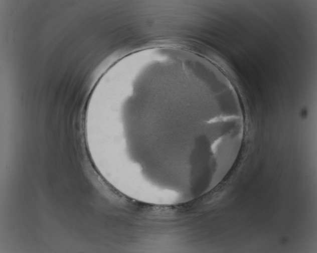 X0000115660907200912241356