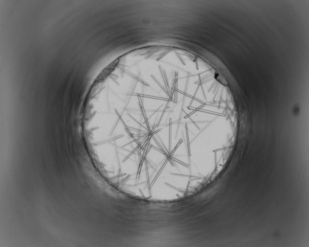 X0000115660908200912241356