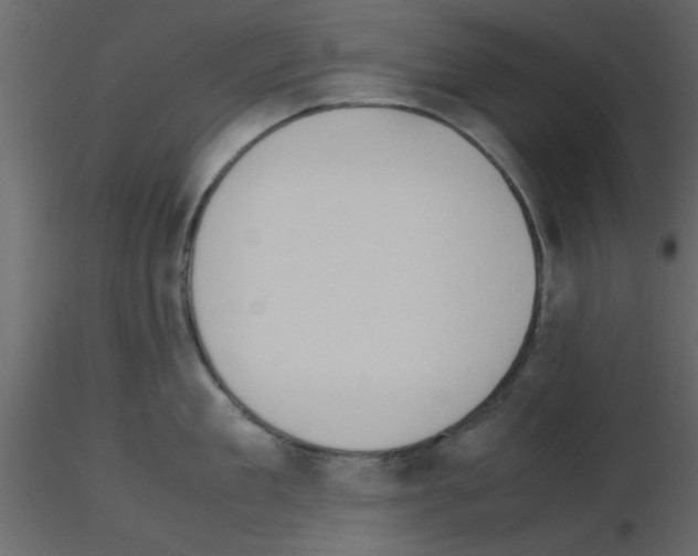 X0000115660909200912241356