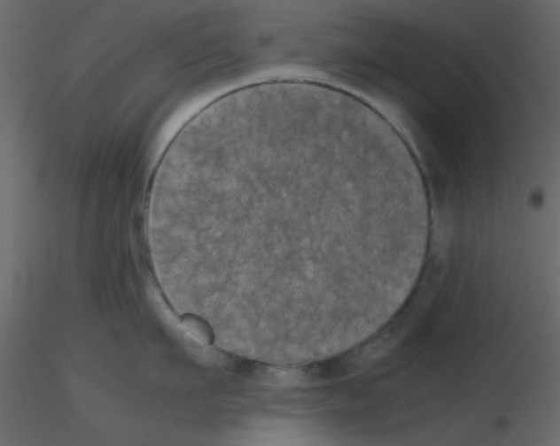 X0000115660911200912241356