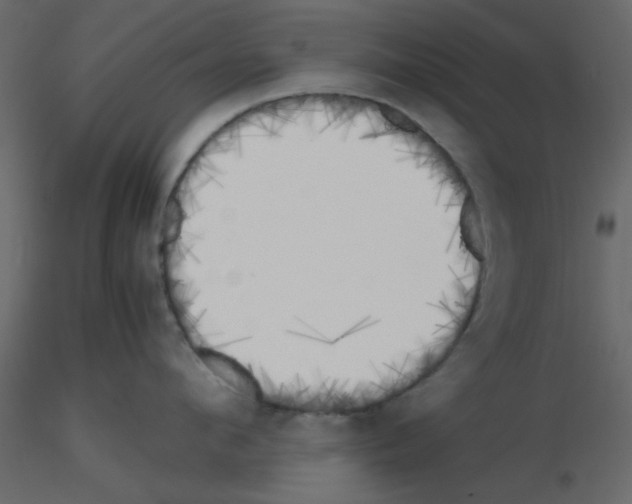 X0000115660912200912241356