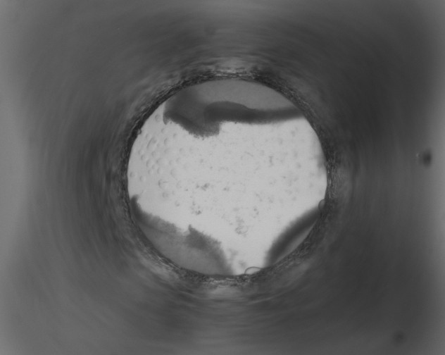 X0000115660913200912241355