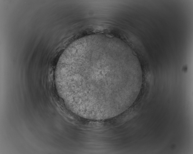 X0000115660914200912241355