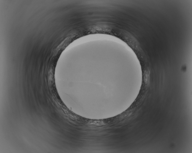 X0000115660915200912241355