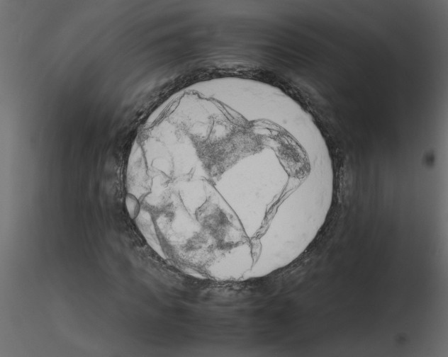 X0000115660917200912241355