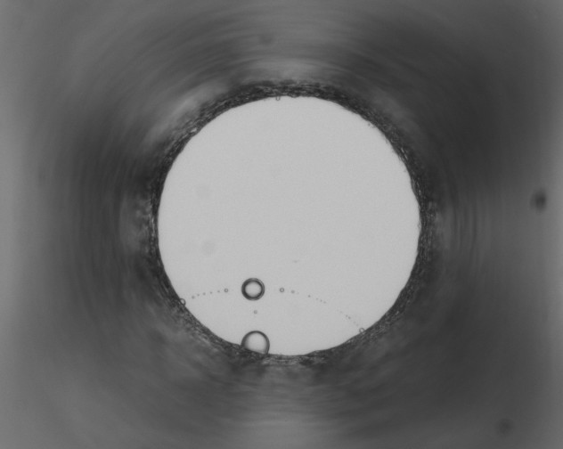 X0000115660918200912241355