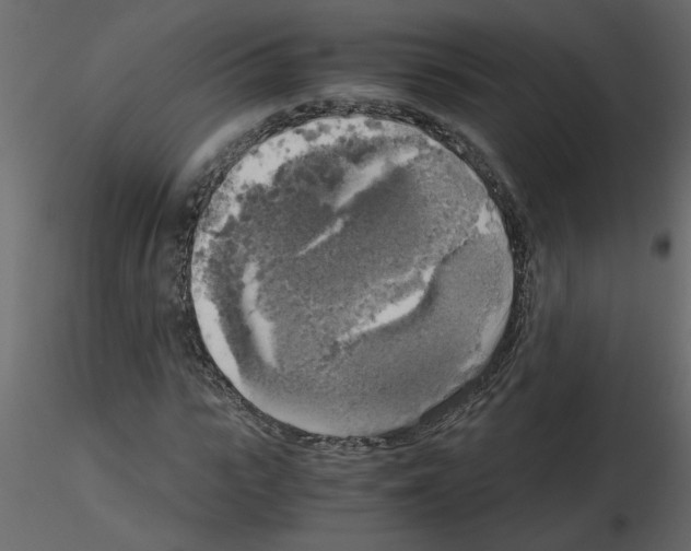 X0000115660919200912241355