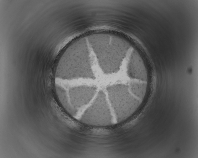 X0000115660921200912241355