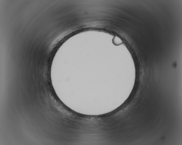 X0000115660922200912241355