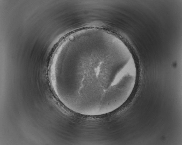 X0000115660923200912241355