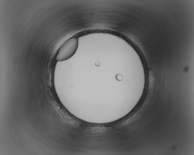 X0000115660925200912241355