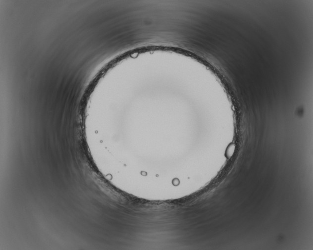 X0000115660926200912241355