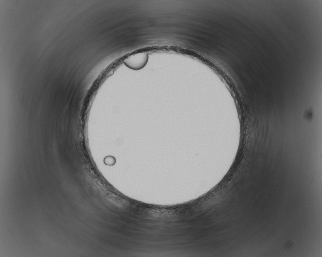 X0000115660927200912241356