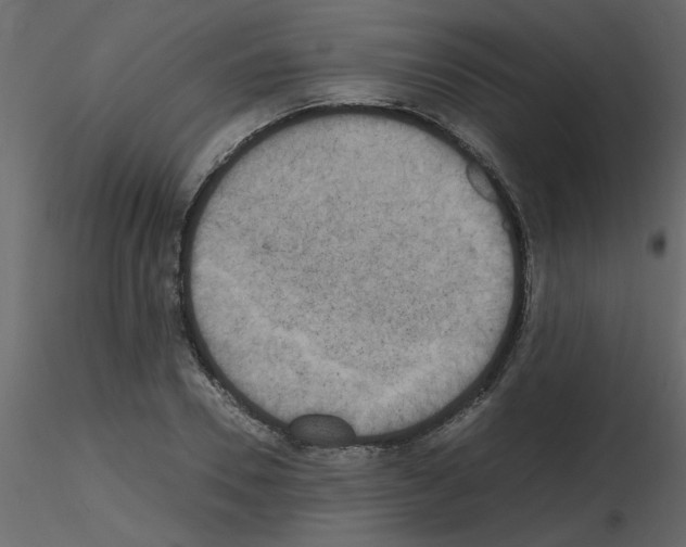 X0000115660930200912241356