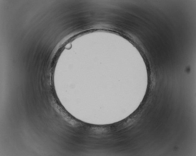 X0000115660931200912241356