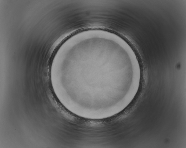 X0000115660933200912241356