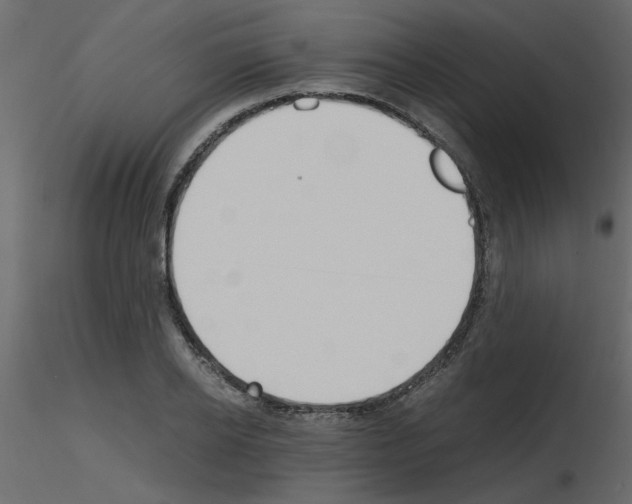 X0000115660934200912241356