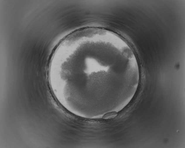 X0000115660935200912241356