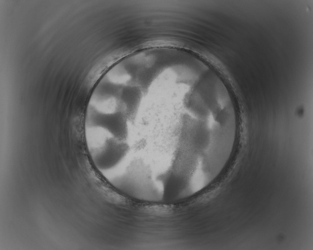 X0000115660937200912241356