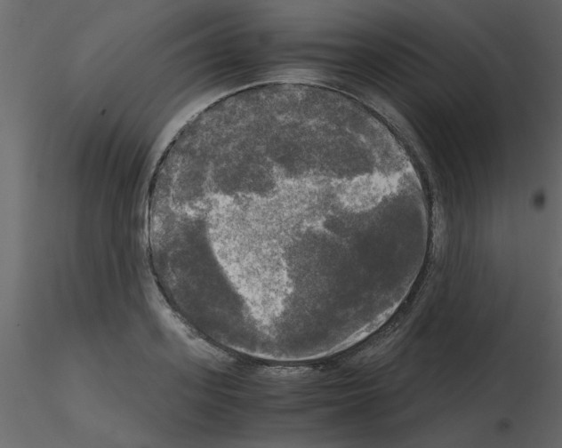 X0000115660939200912241356