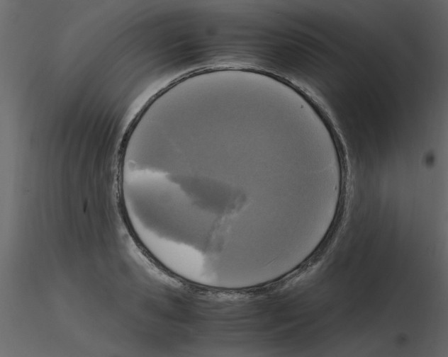 X0000115660941200912241356