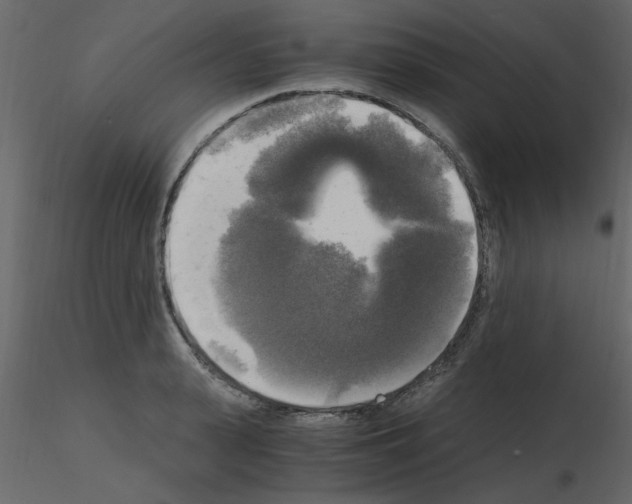 X0000115660943200912241356