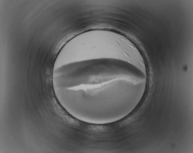 X0000115660945200912241356