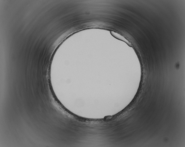 X0000115660946200912241356